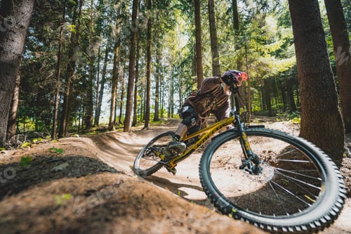 Preview: Mountain biker riding on a forest dirt trail.