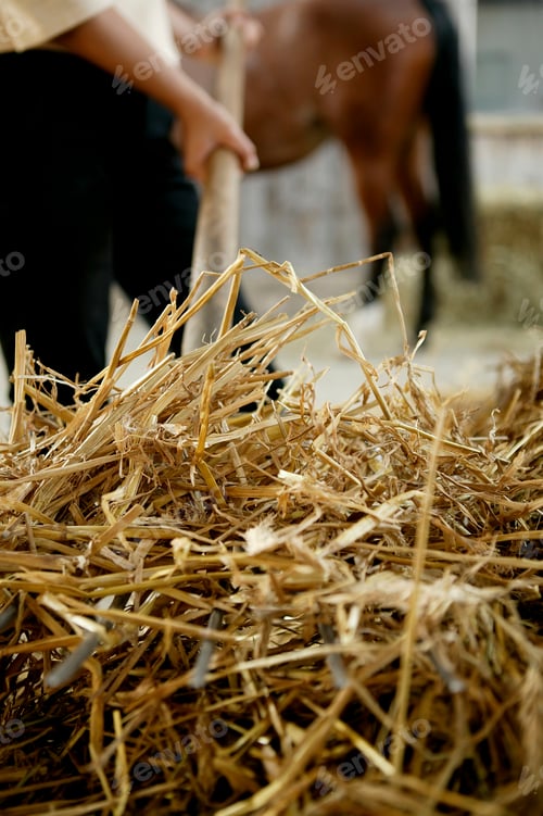 Preview: A helping hand with farm chores