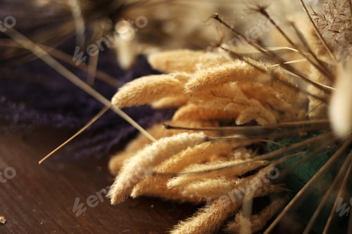 Preview: close up of dry flowers in the interior. A bouquet of dry grass is collected in a bouquet for the