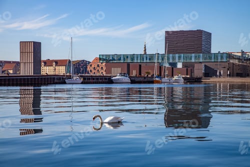 Preview: COPENHAGEN, DENMARK - MAY 6, 2018: swan swimming in calm water near moored boats and modern