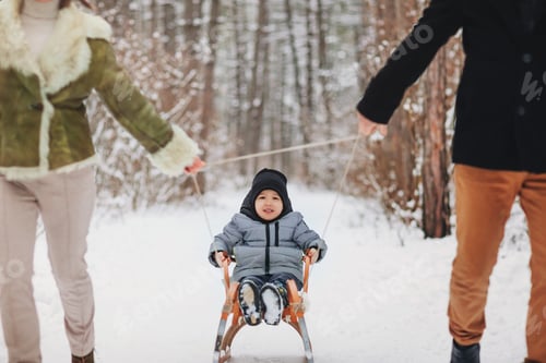 Preview: Young beautiful family of three walking in snowy forest, mom and dad dragging small son on sled