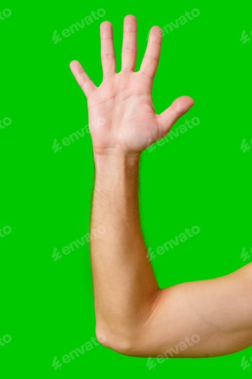 Preview: Hand Raised in a Gesture of Greeting Against a Bright Green Background