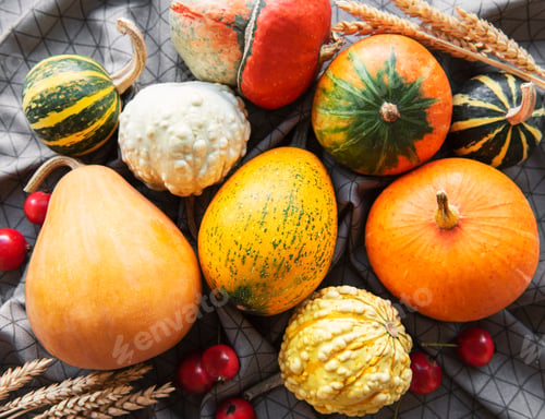 Preview: Autumn composition.