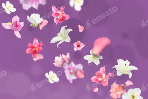 Preview: Beautiful flowers and petals in air against purple background