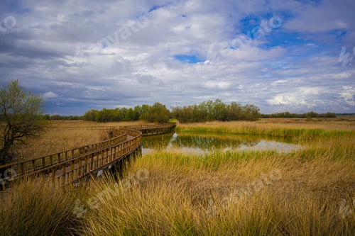 Preview: Wooden walkway bridge on the river, Tablas de Daimiel National Park, Spain