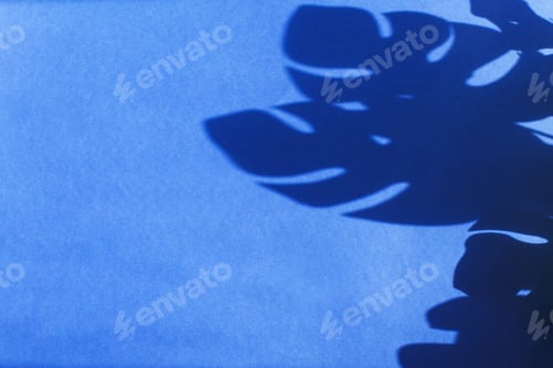 Preview: monstera leaf shadow on blue background with space for text. nature background