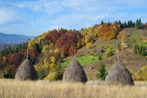 Preview: Autumn Landscape with Haystacks in a Mountain Village