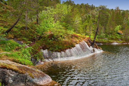 Preview: Wild nature of Northern Norway