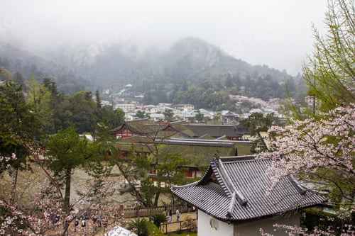 Preview: High angle shot of hills and buildings in a park on a foggy day in Miyajima, Japan