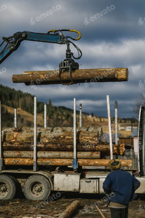 Preview: Crane loading wood into wood truck and the wood grapple holding a log in the air