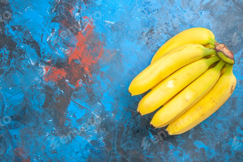 Preview: Top view of a bunch of fresh natural grown cavendish bananas on the left side of isolated blue