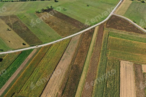 Preview: Aerial View of Agricultural Fields by Drone