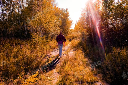 Vorschau: Ein Mann, der in der Herbstsonne auf einem Pfad läuft