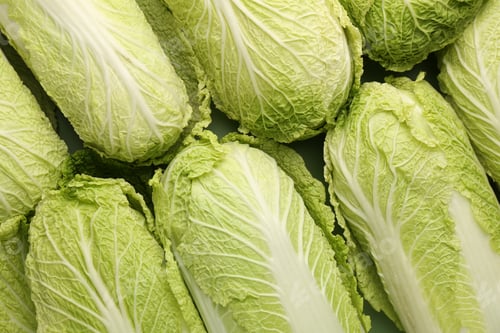 Preview: Fresh ripe Chinese cabbages as background, top view