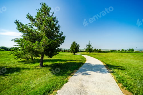 Preview: Golf grassland in kakheti, Georgia