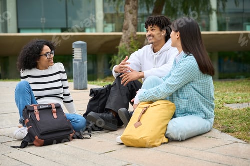 Preview: University Students Chatting Outside on Campus Lawn