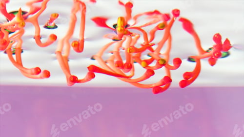 Preview: Beautiful bright flower under water. Stock footage. Flower in water on isolated background
