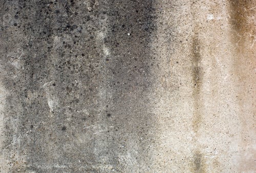 Preview: Old textured concrete wall