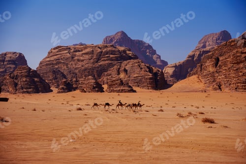 Preview: Camel caravan and bedouins in the Wadi Rum desert, Jordan, and rock in the background on a sunny day