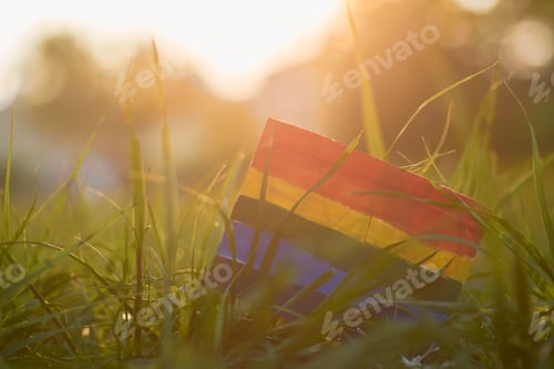 Preview: LGBT Pride flag, with sunlight on the back.