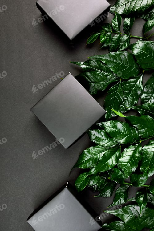 Preview: Mockup for black gift box a dark background with green leaves