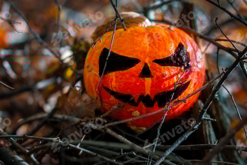 Preview: Halloween Pumpkin in the Forest. Scary pumpkin decorations with creepy toothy smile at wood