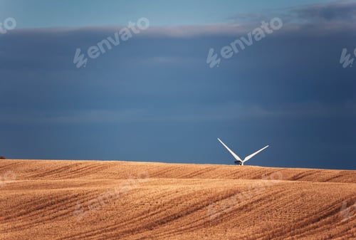 Preview: Wind turbine blades seen above the crest of a field.