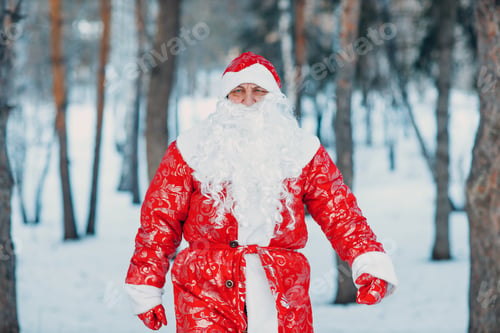 Preview: Santa Claus with long white beard walking in the winter forest