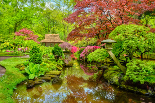Preview: Japanese garden, Park Clingendael, The Hague, Netherlands