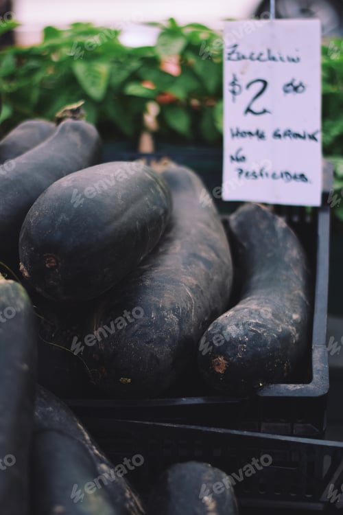 Preview: Giant zucchini at a farmers market