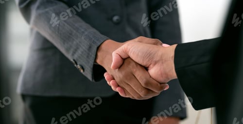 Preview: Businesswoman handshake and business people. Successful business concept.