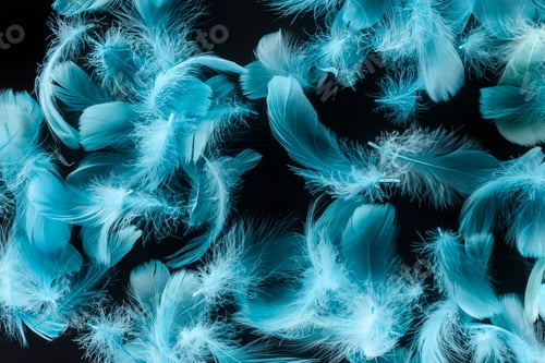 Preview: seamless background with bright blue feathers isolated on black