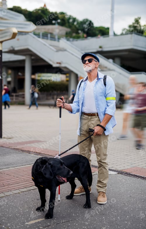 Preview: Senior blind man with guide dog standing outdoors in city