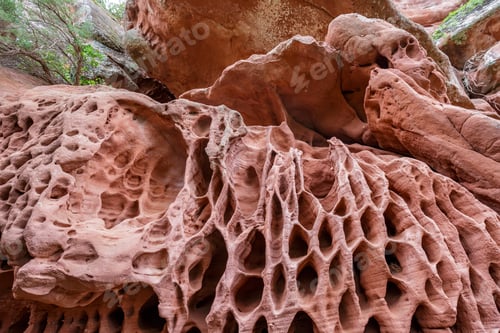 Preview: holes in stone - Tafoni weathering in red sandstone