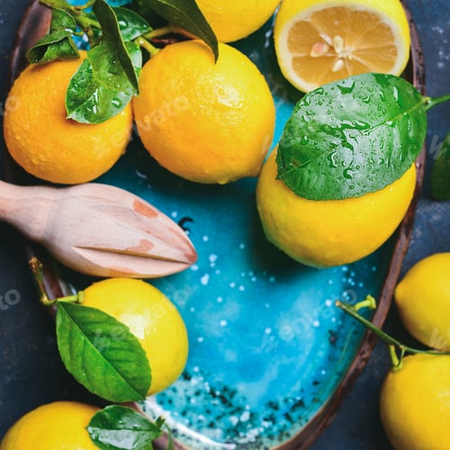 Preview: Freshly picked lemons with leaves in blue plate, copy space