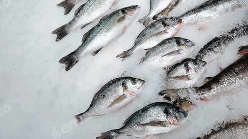 Preview: Frozen fish on ice, top view. Fresh fish food