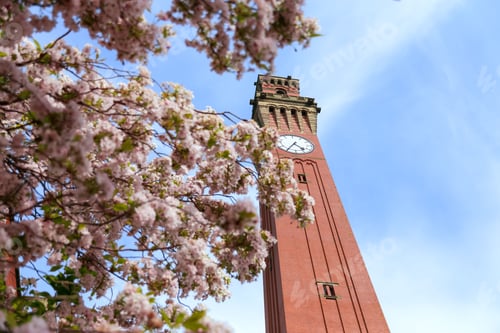 Preview: Below view of the Joseph Chamberlain memorial clock tower in Birmingham University, United Kingdom