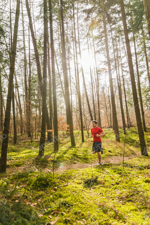 Preview: Young man jogging on forest path
