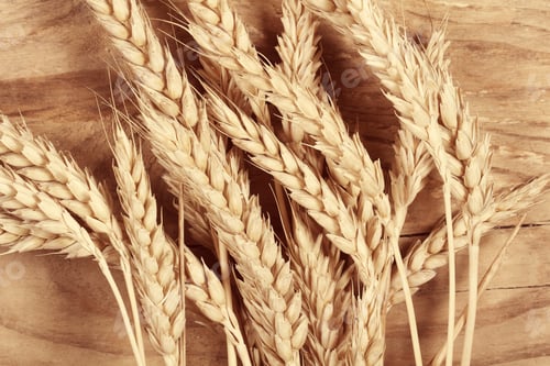 Preview: Wheat And Flour Lie On A Wooden Table
