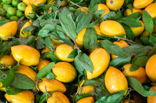 Preview: Yellow Tropical Fruit Of Canistel At Traditional Marketplace In Taiwan