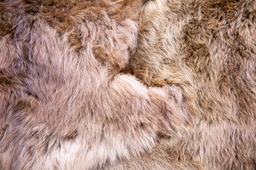 Preview: Baby alpaca wool