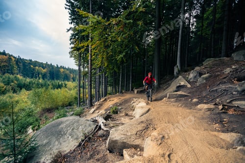 Preview: Mountain biker riding cycling in autumn forest