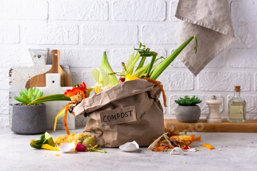 Preview: Vegetable waste for making compost. Zero waste concept
