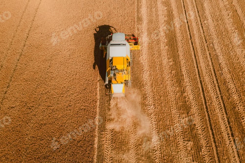 Preview: Aerial view of combine harvesting wheat in the field