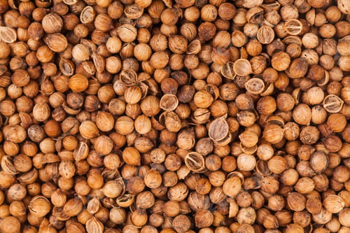 Preview: Coriander Seeds Extreme Closeup
