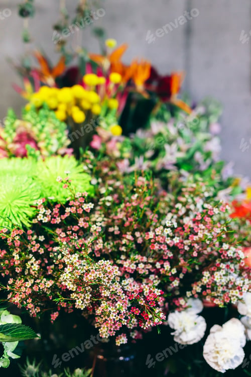 Preview: Spring flowers display in the flower shop.