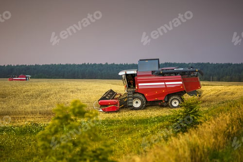 Preview: modern heavy harvester removes the ripe wheat bread in field before the storm.