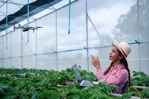 Preview: Asian farmer under checking fresh organic vegetable in hydroponic smart farm, produce by notebook an