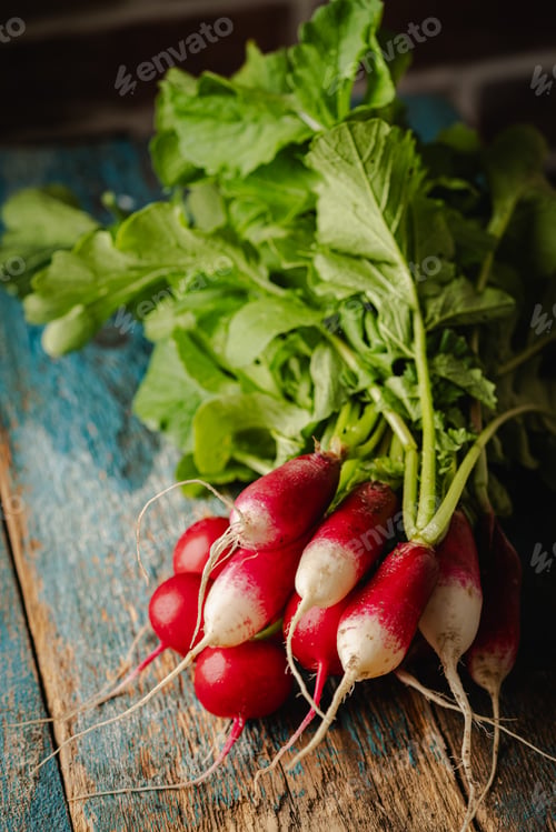 Preview: Fresh radish lies
