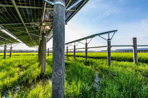 Preview: Solar power plant